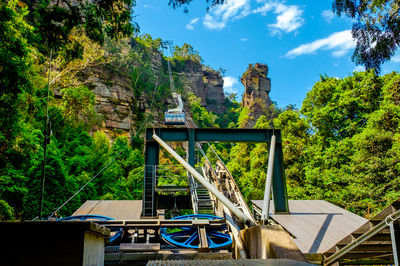 Scenic World