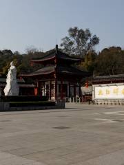 Taibai Forest of Steles