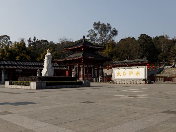 Taibai Forest of Steles