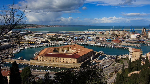 Ancona