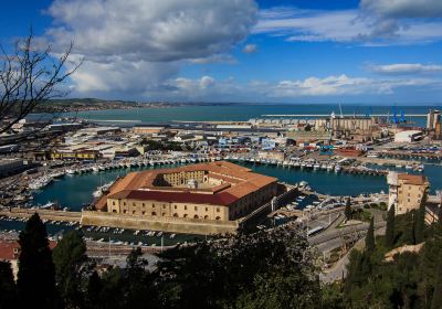 Ancona