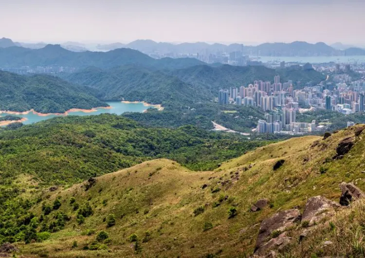 【靚景行山】8條新手靚景行山路線推介!千島湖清景台/港版天空之鏡/夢幻白千層林道/罕見S型水壩