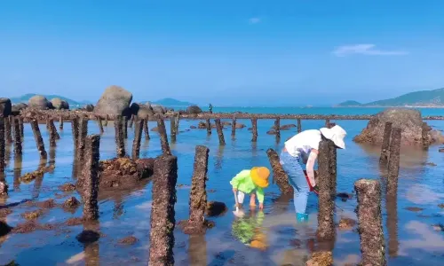 Beachcombing in Lianjiang