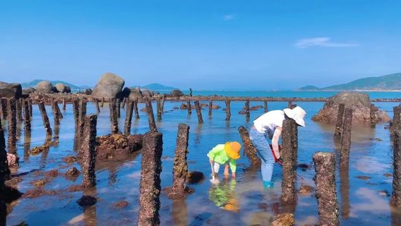Beachcombing in Lianjiang
