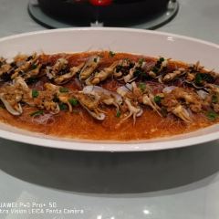 Pfeiffers張用戶圖片