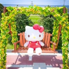 HELLO KITTY SHOW BOX User Photo