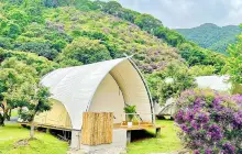 Grandma's Spring Forest Secret Camping Site