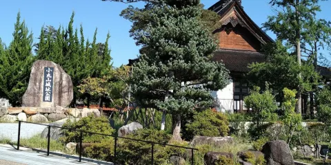 小丸山城址公園