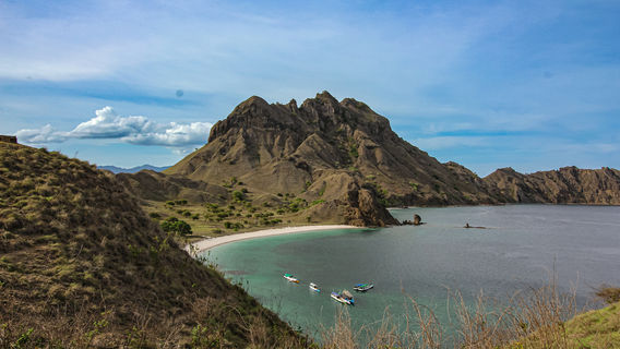Komodo