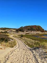 Sandy Neck Beach