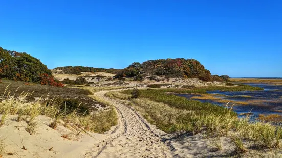 Sandy Neck Beach