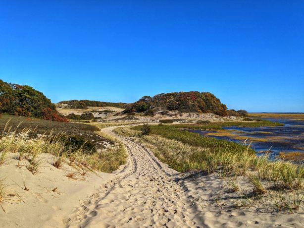 Sandy Neck Beach