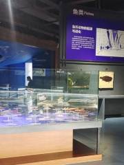 Музей Национального Геологического парка Хин Юй