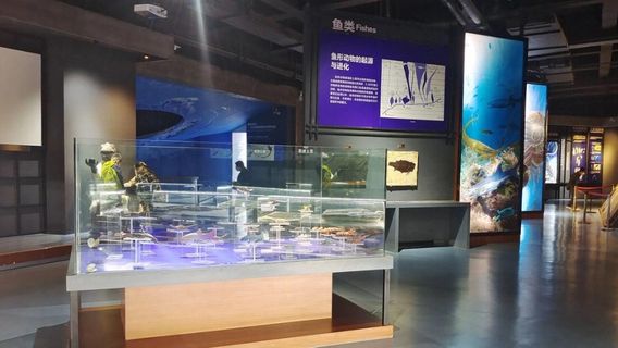 National Geopark Museum