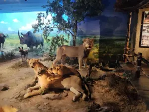 大連自然博物館