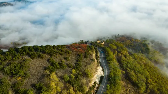 南山公園