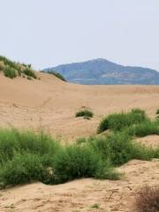 พื้นที่ท่องเที่ยวทะเลทรายบูริตัน