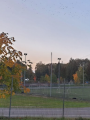 Parcul Sportiv