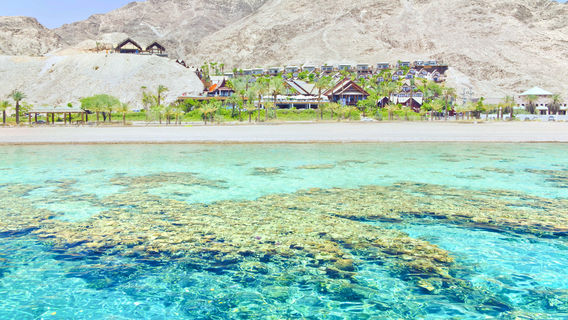Eilat Coral Beach Nature Reserve