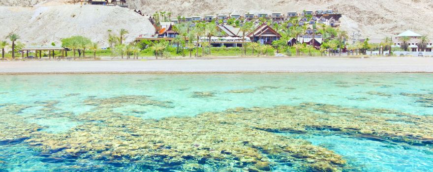 Eilat Coral Beach Nature Reserve