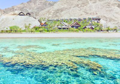 Coral Beach Nature Reserve