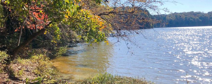 Lake Benson Park