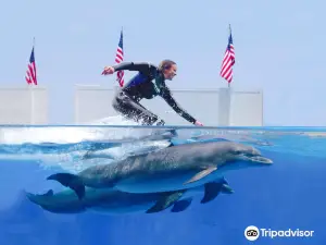 Gulf World Marine Park