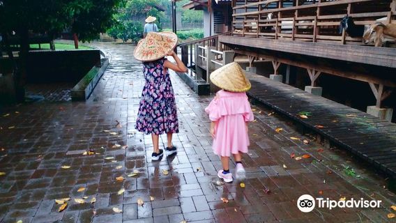 Kuntum Farmfield dan Nurseries