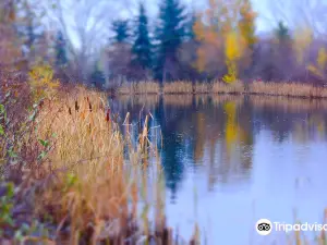 Muskoseepi Park