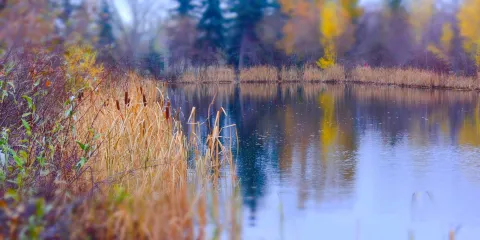 馬斯科西比公園