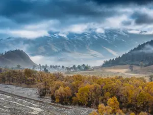 卓爾山