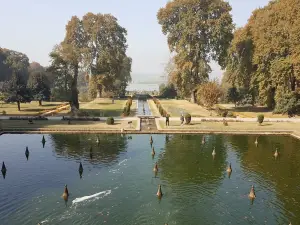 Shah Kashmir Arts Emporium