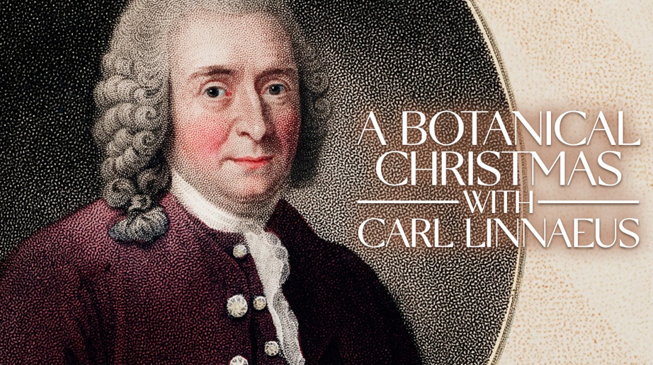 A Botanical Christmas with Carl Linnaeus | Gardens by the Bay