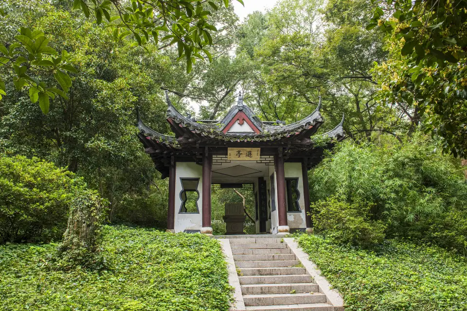 4_南山