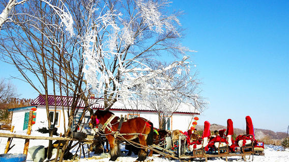 zhong guo ya xue min su di yi cun