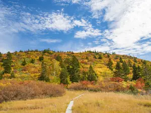 Popular Fall Viewing Attractions in Aomori