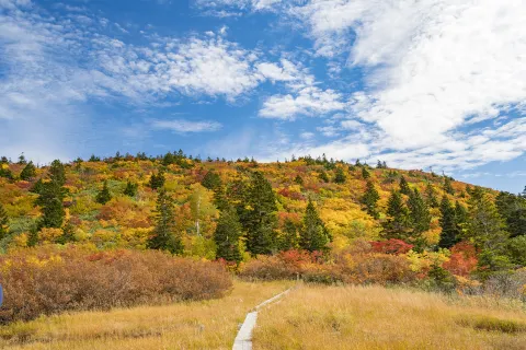 Hakkōda Mountains