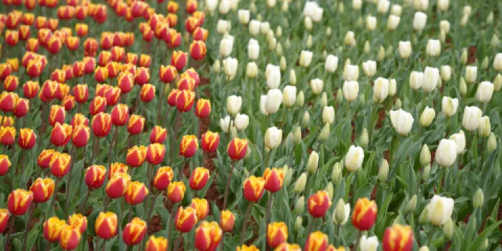 撈漁河國家濕地公園