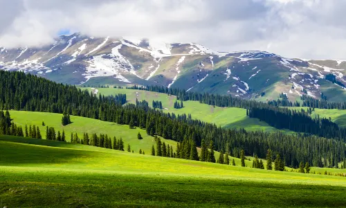 Nalati Grassland
