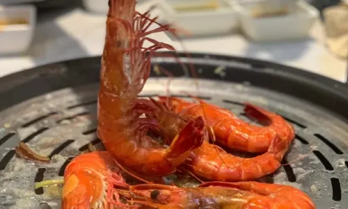 Yue Bai Hai Hai Xian Hot Pot