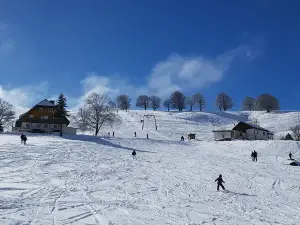 Skilifte Hofsgrund GmbH