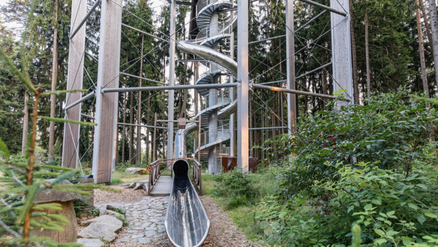 Treetop Trail Lipno