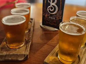 Brewhemia