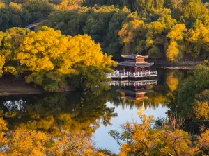 Longsha Park