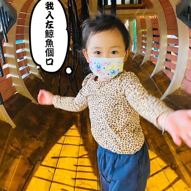 鯨魚遊樂場