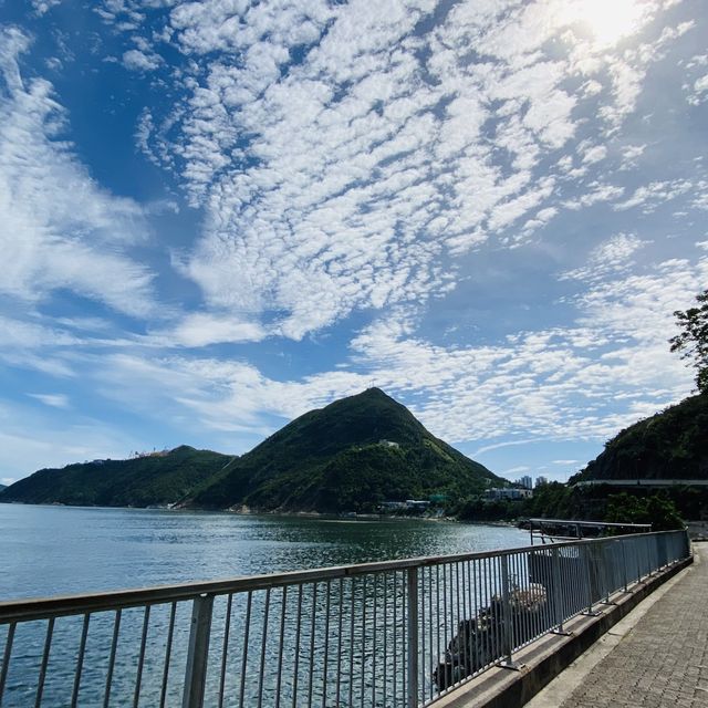 疫情期間支持本地遊，staycation 最新嘅海洋公園萬豪酒店，房間同泳池都好滿意