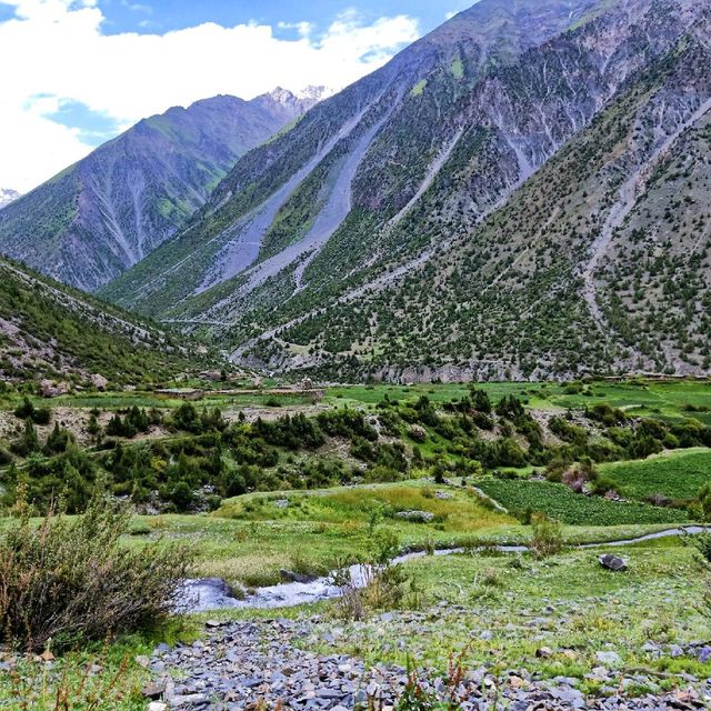 Daetar Farmland and Meadows