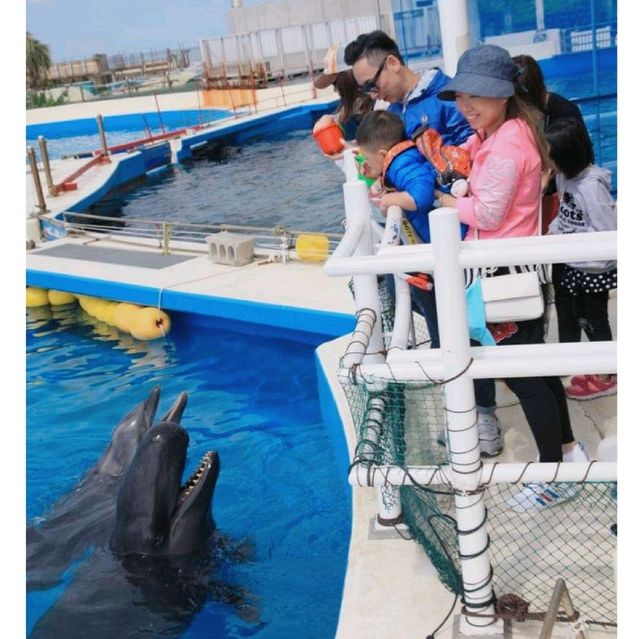 沖繩美麗海水族館