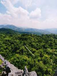 Rainforest hiking adventure
