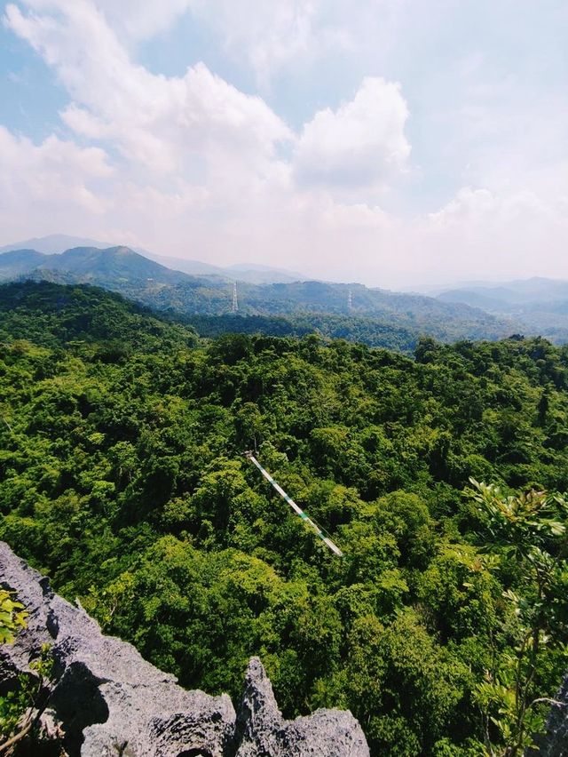 Rainforest hiking adventure